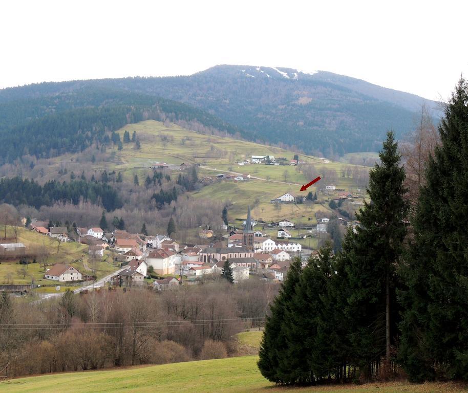Les Hauts De Brochot Saint-Maurice-sur-Moselle Habitación foto